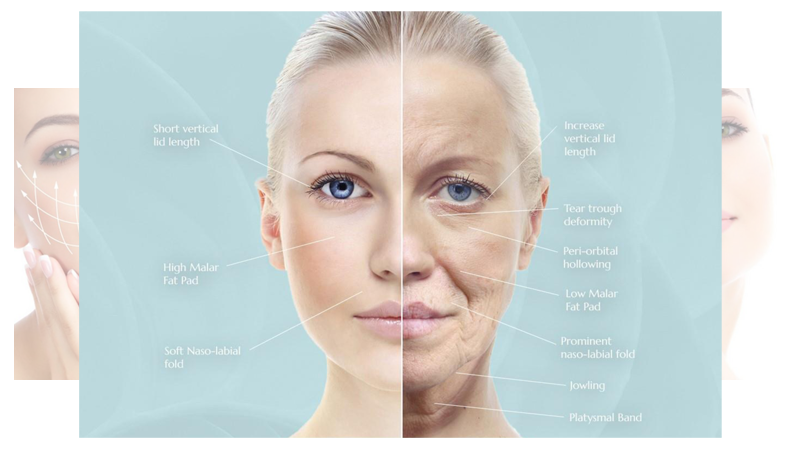  Dr Helen prides herself on full face rejuvenations, often in peri-menopausal women. She has expert knowledge in the field, the effect of ageing on the face and the most natural and efficient skills of providing just sufficient volume to restore the contours of youth.